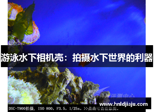 游泳水下相机壳：拍摄水下世界的利器