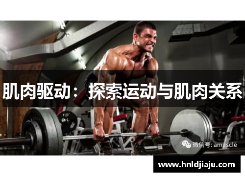肌肉驱动：探索运动与肌肉关系